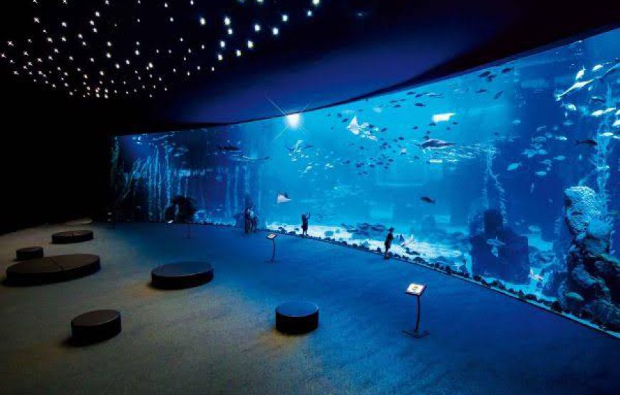 Grand Aquarium