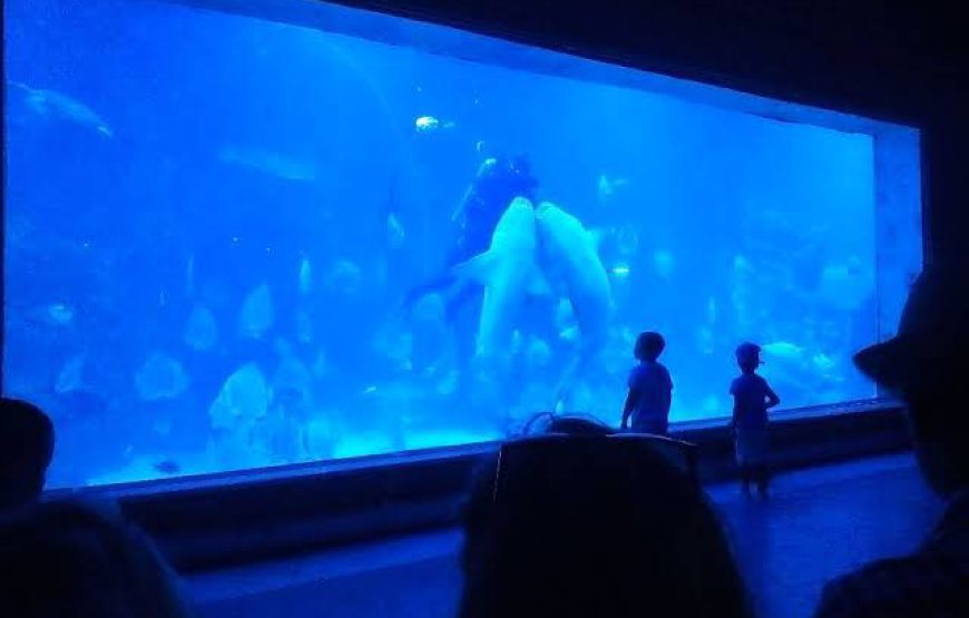 Grand Aquarium