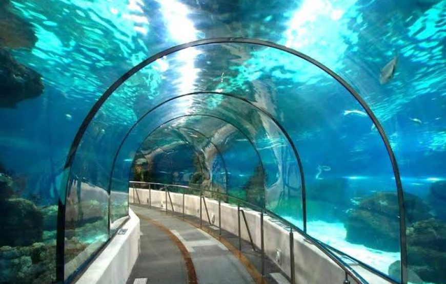 Grand Aquarium