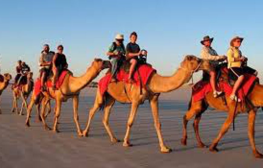 Camel ride