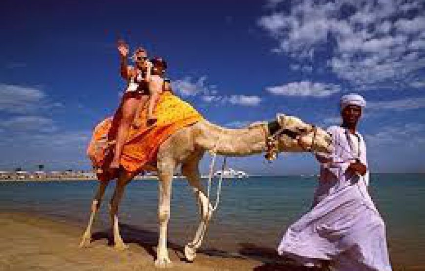 Camel ride