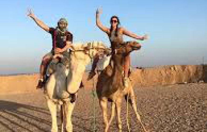 Camel ride