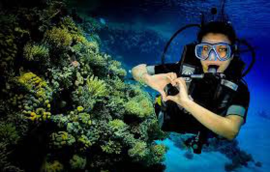 Scuba Diving