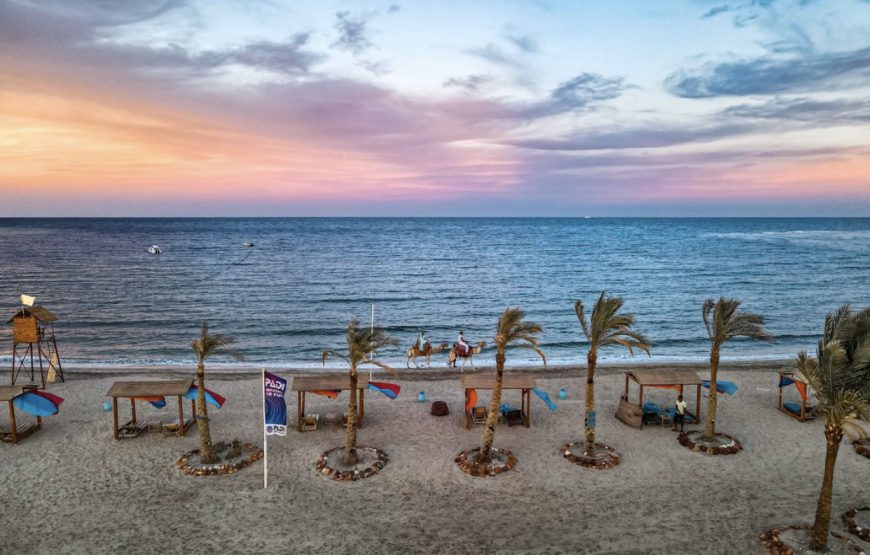 Abu Dabbab Beach – Marsa Alam