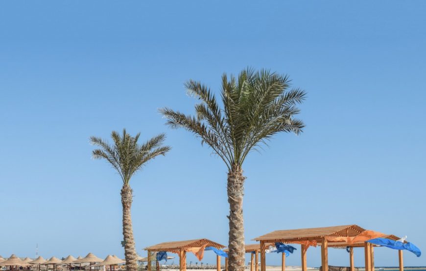 Abu Dabbab Beach – Marsa Alam