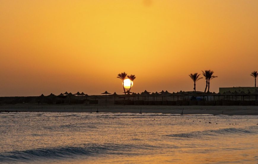 Abu Dabbab Beach – Marsa Alam